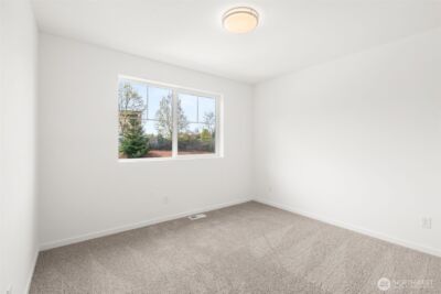3221 219th Avenue E, Bonney Lake, WA 98391 - Photo 18