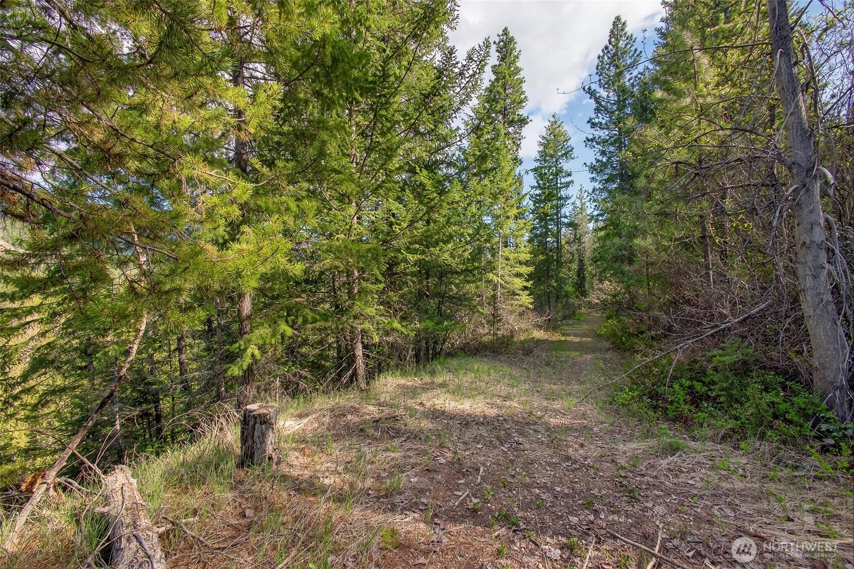 0 Salal Drive , Leavenworth, WA 98826