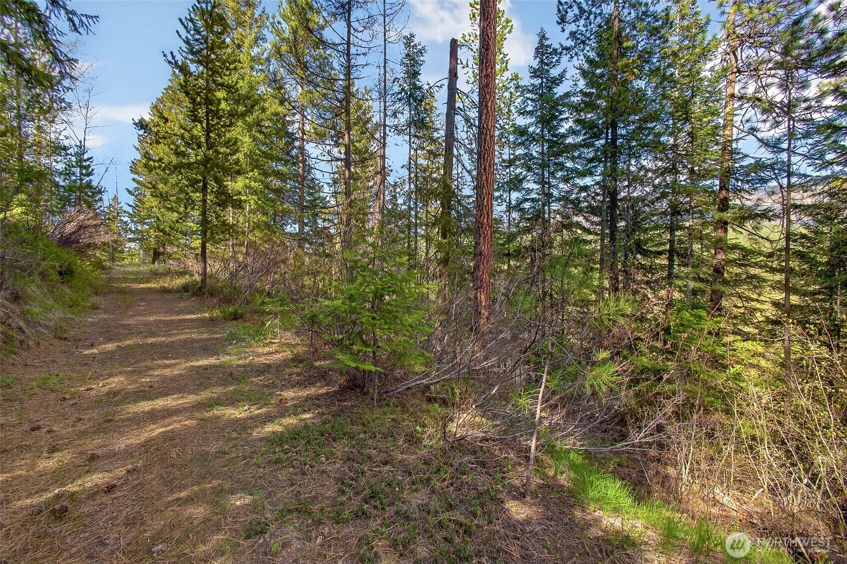 0 Salal Drive , Leavenworth, WA 98826
