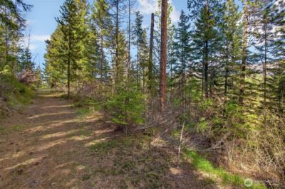 0 Salal Drive , Leavenworth, WA 98826 - Photo 12