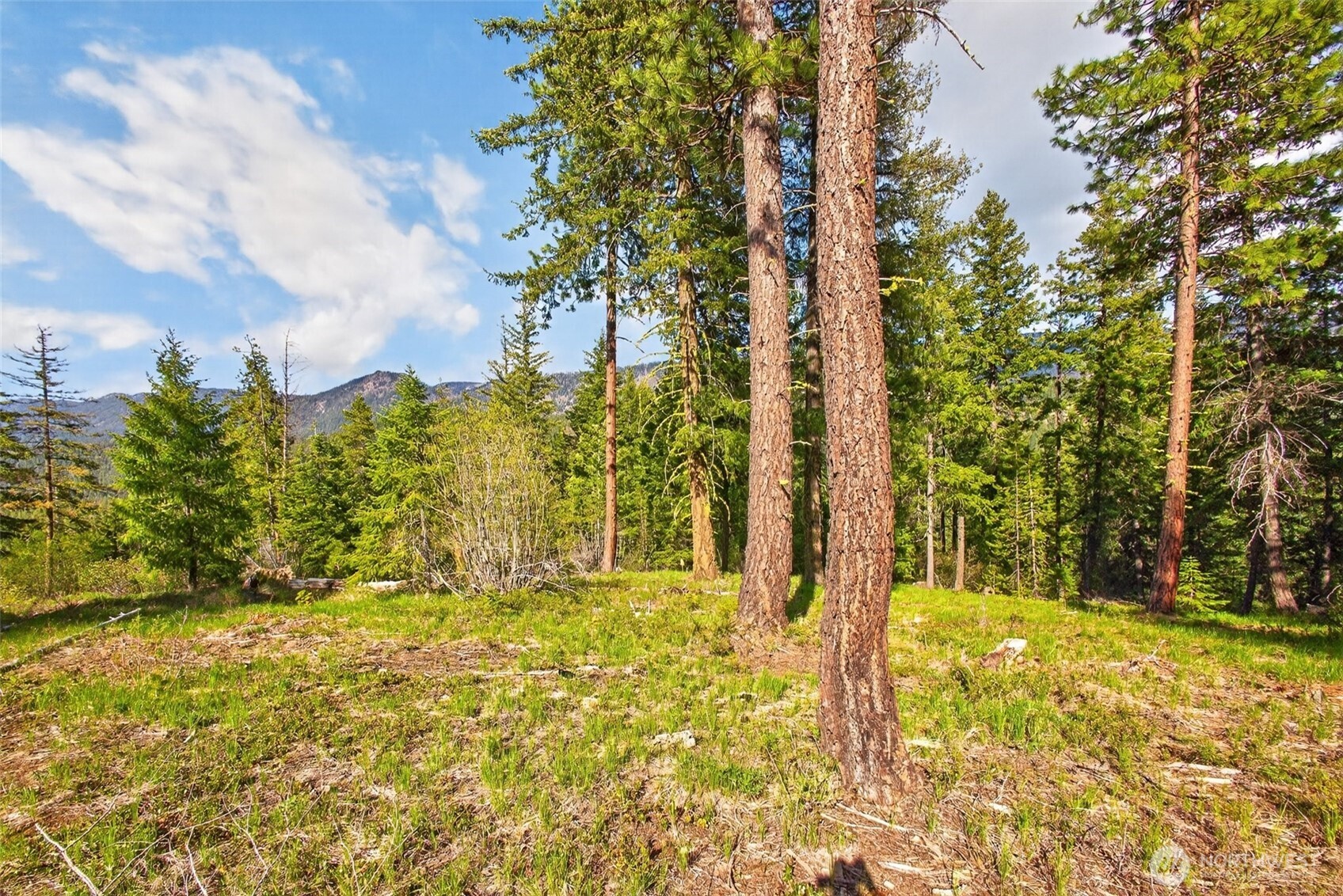 0 Salal Drive , Leavenworth, WA 98826