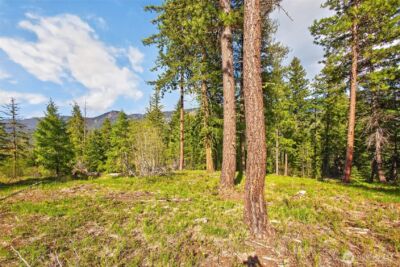 0 Salal Drive , Leavenworth, WA 98826 - Photo 13