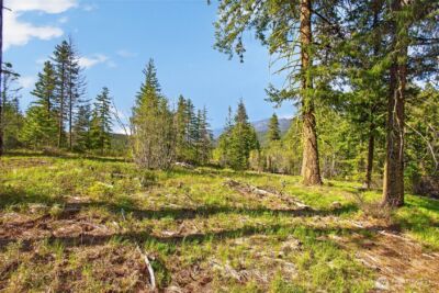 0 Salal Drive , Leavenworth, WA 98826 - Photo 14