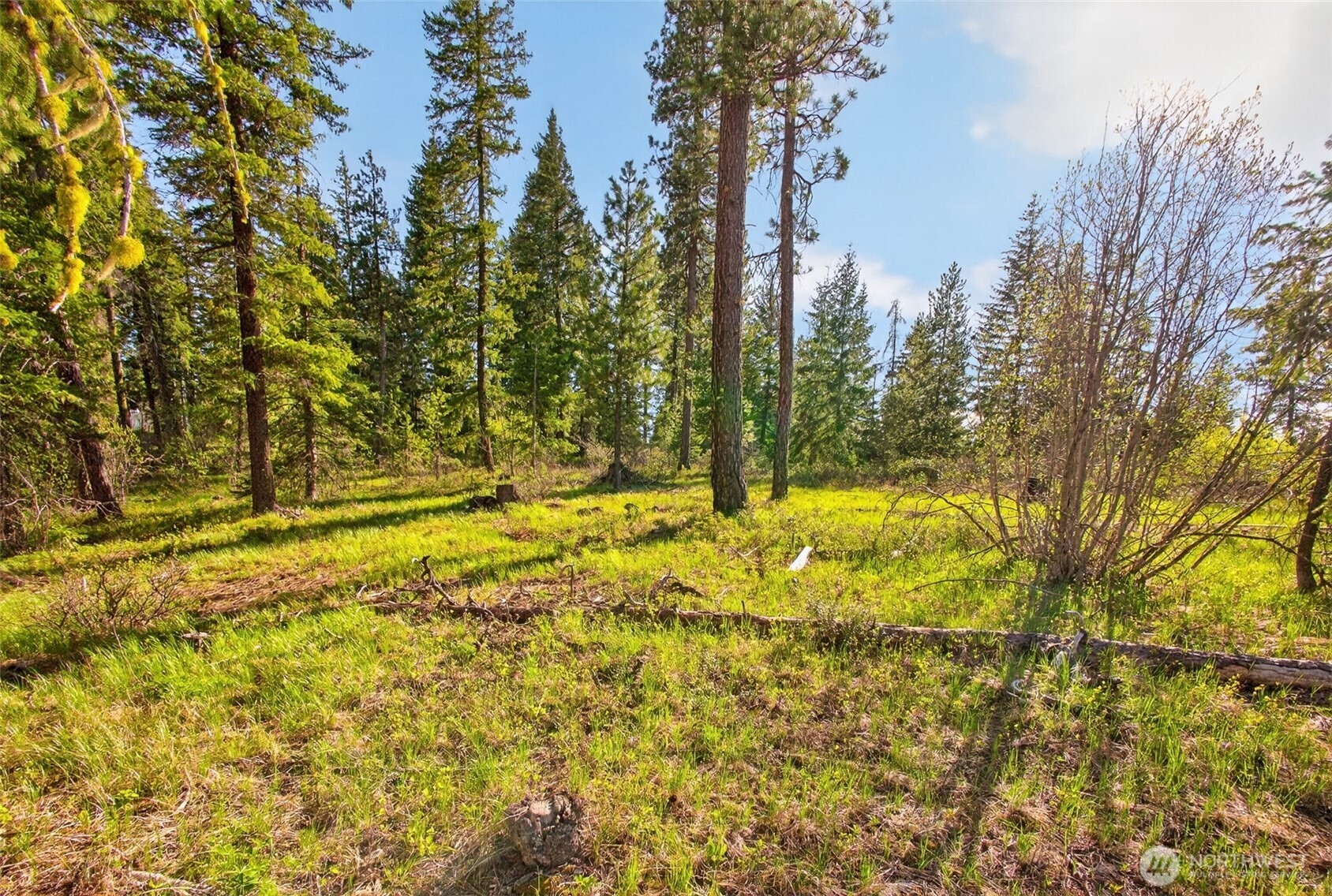 0 Salal Drive , Leavenworth, WA 98826