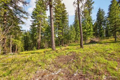 0 Salal Drive , Leavenworth, WA 98826 - Photo 16