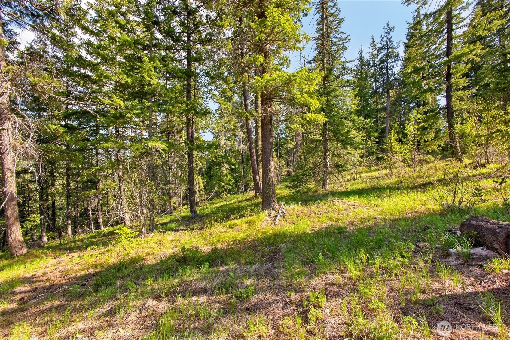 0 Salal Drive , Leavenworth, WA 98826