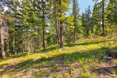 0 Salal Drive , Leavenworth, WA 98826 - Photo 17