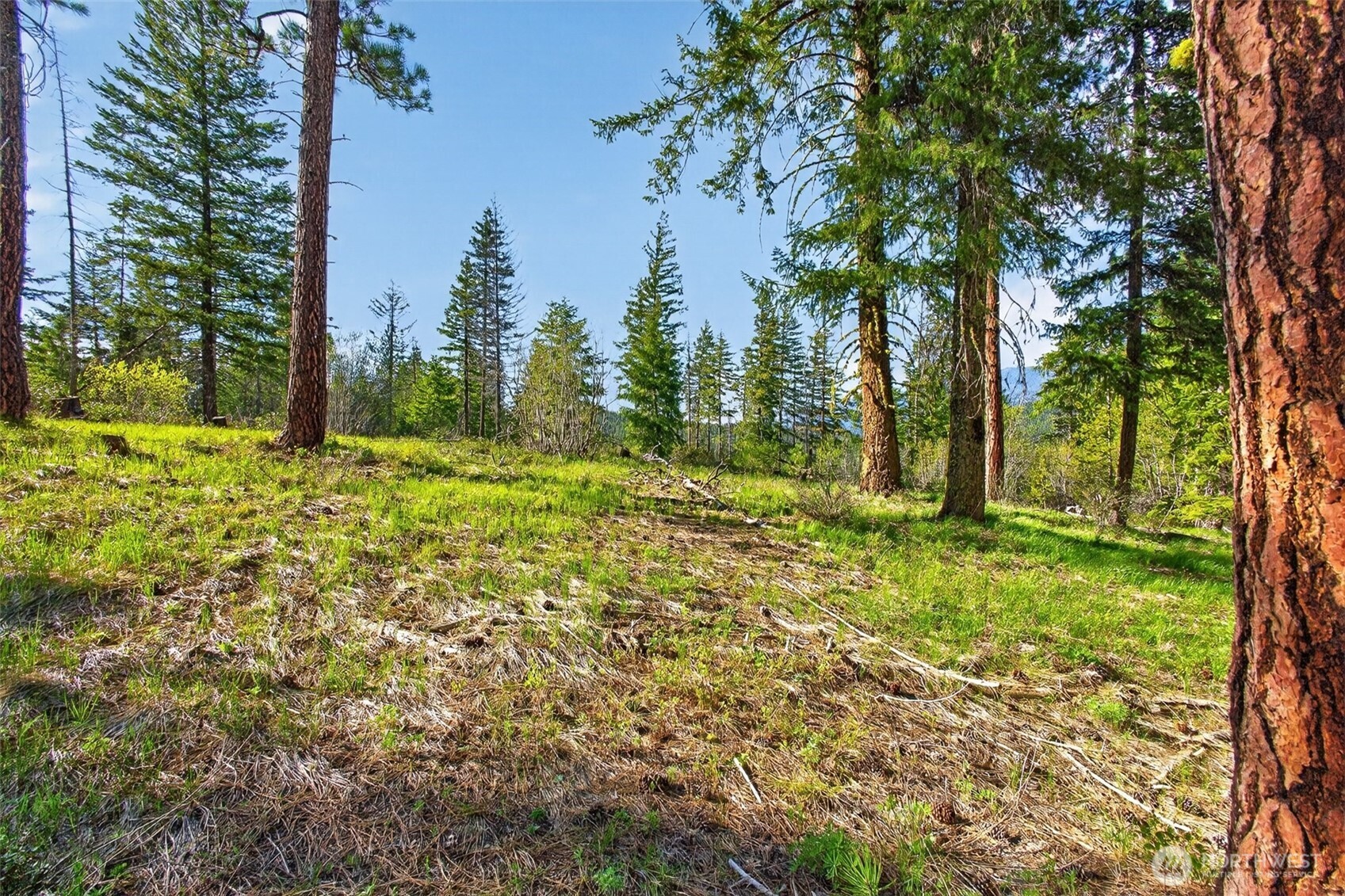 0 Salal Drive , Leavenworth, WA 98826