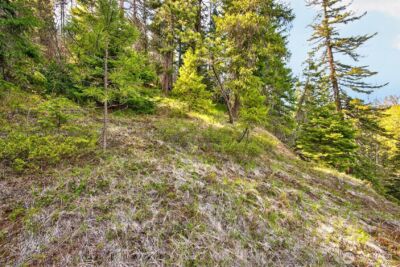 0 Salal Drive , Leavenworth, WA 98826 - Photo 19