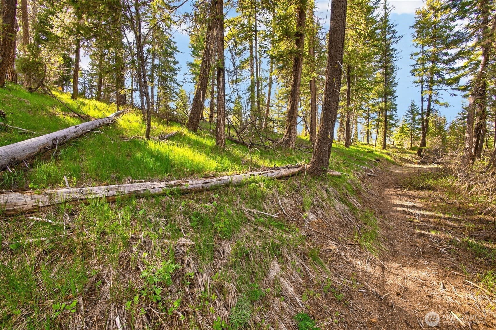 0 Salal Drive , Leavenworth, WA 98826