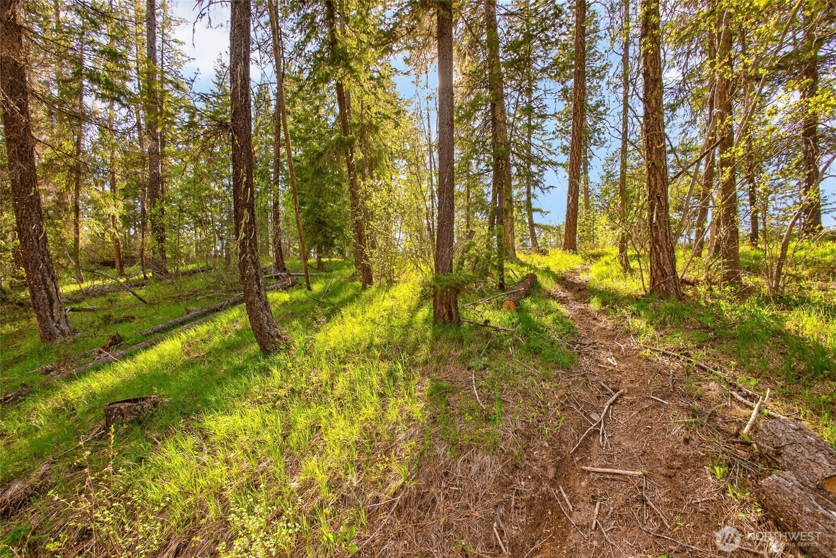 0 Salal Drive , Leavenworth, WA 98826