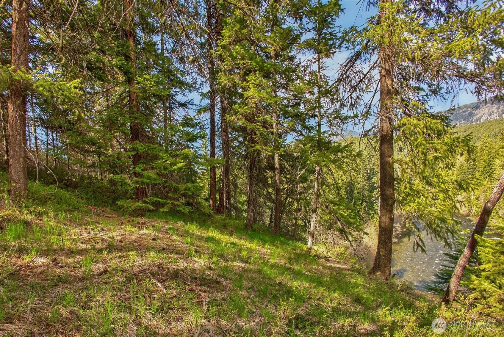 0 Salal Drive , Leavenworth, WA 98826