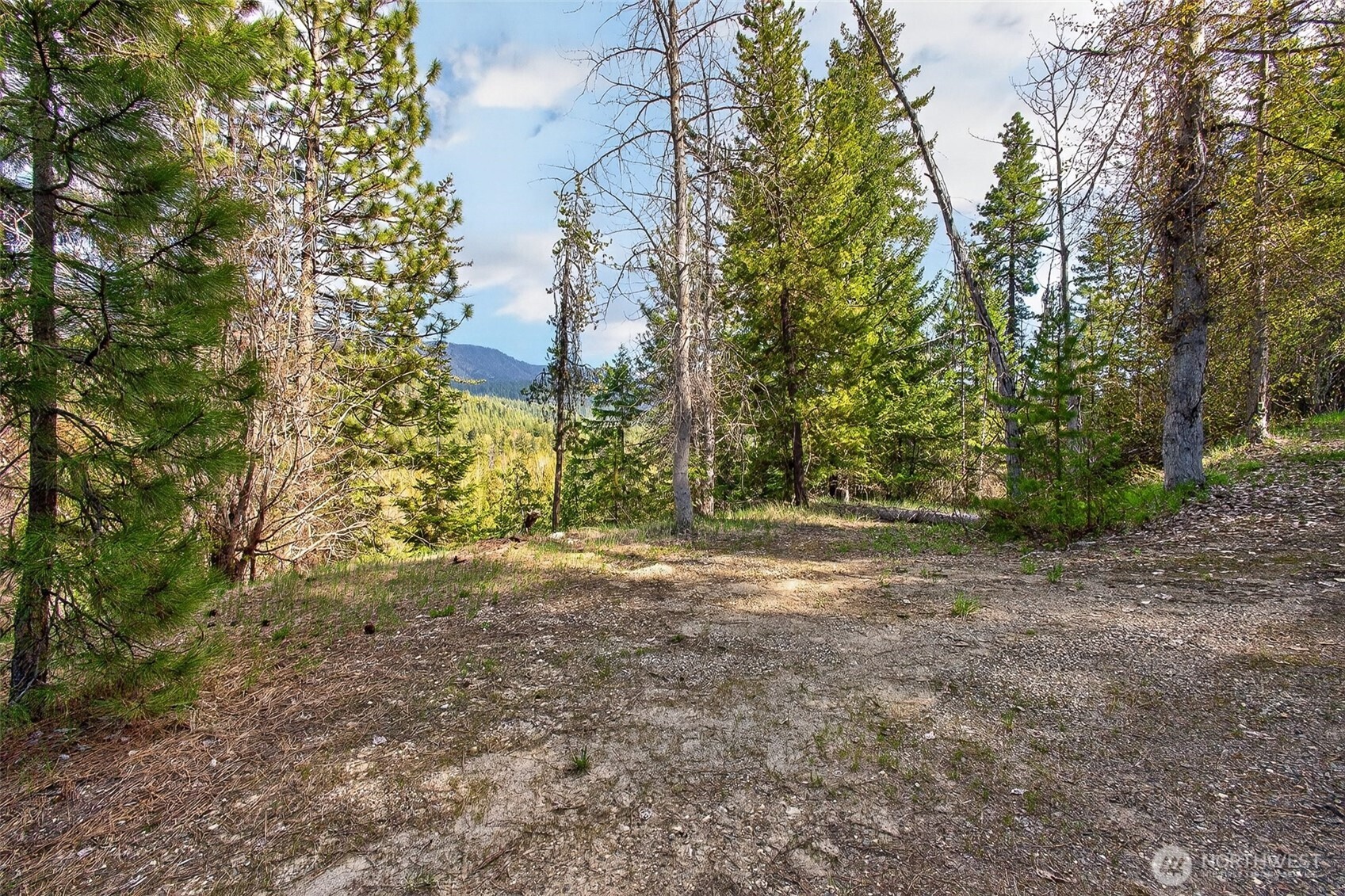 0 Salal Drive , Leavenworth, WA 98826