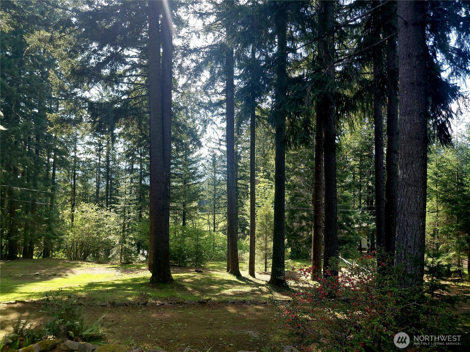 109 Francis Street , Packwood, WA 98361