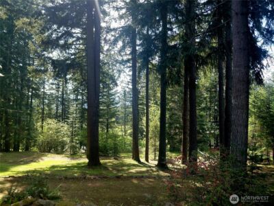 109 Francis Street , Packwood, WA 98361 - Photo 7