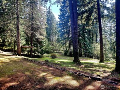 109 Francis Street , Packwood, WA 98361 - Photo 8