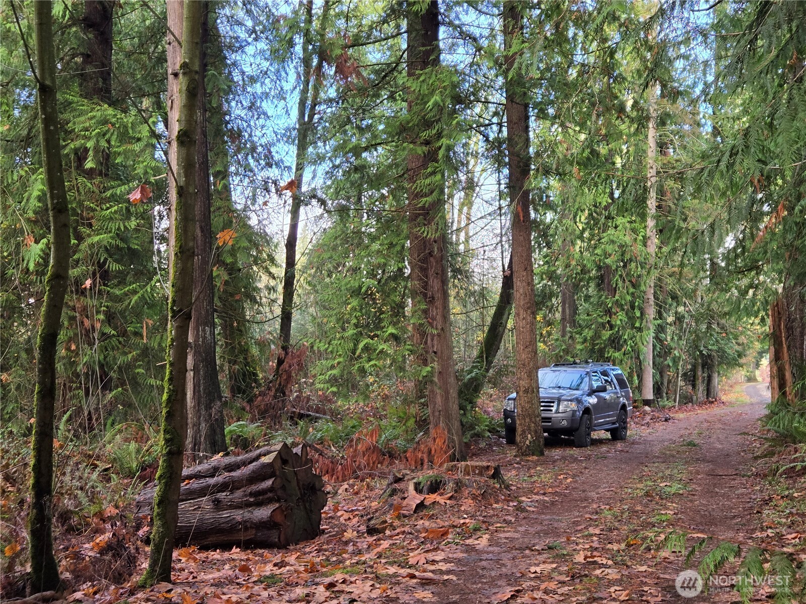 388 XX 191st Avenue SE, Auburn, WA 98092