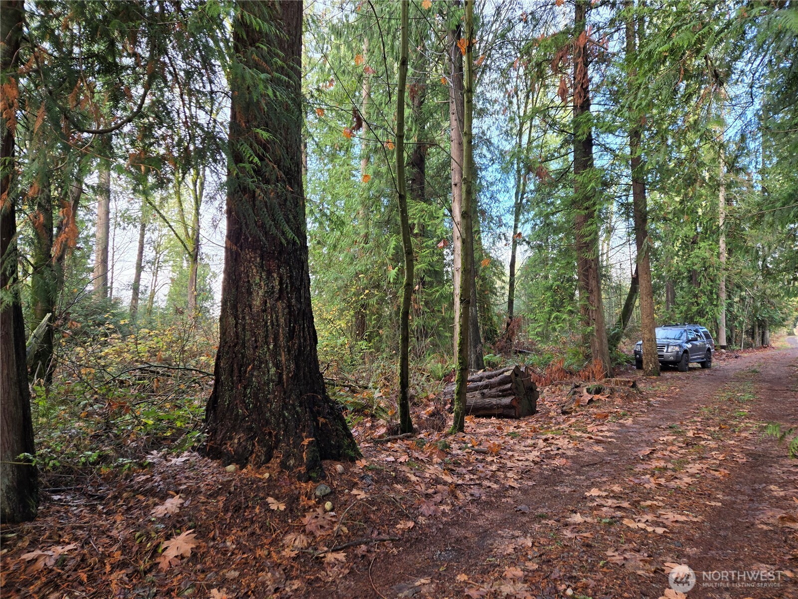 388 XX 191st Avenue SE, Auburn, WA 98092