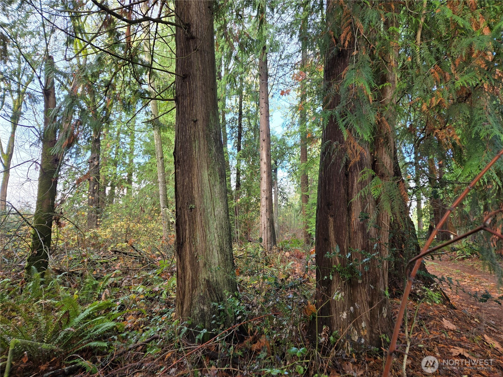388 XX 191st Avenue SE, Auburn, WA 98092