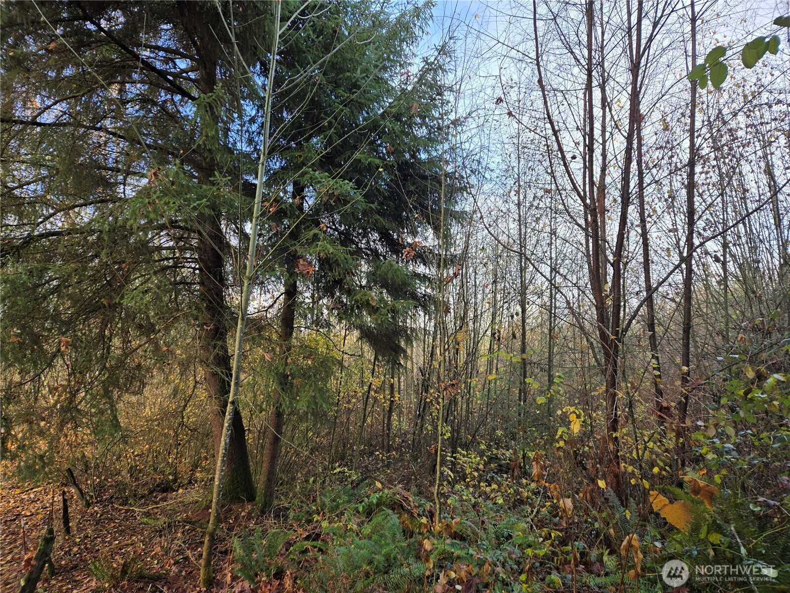 388 XX 191st Avenue SE, Auburn, WA 98092