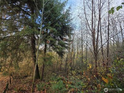 388 XX 191st Avenue SE, Auburn, WA 98092 - Photo 15