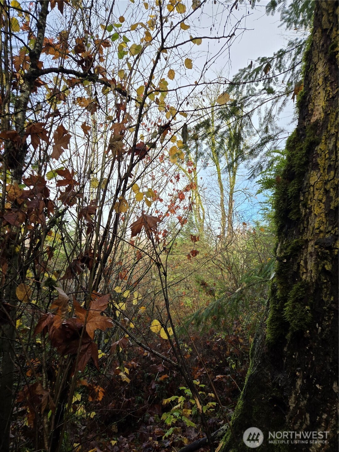 388 XX 191st Avenue SE, Auburn, WA 98092