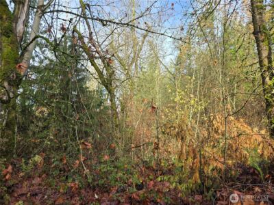 388 XX 191st Avenue SE, Auburn, WA 98092 - Photo 20
