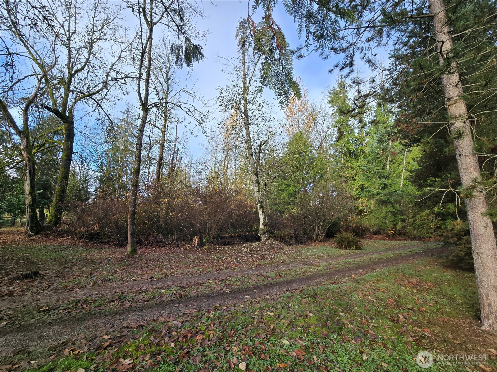 388 XX 191st Avenue SE, Auburn, WA 98092