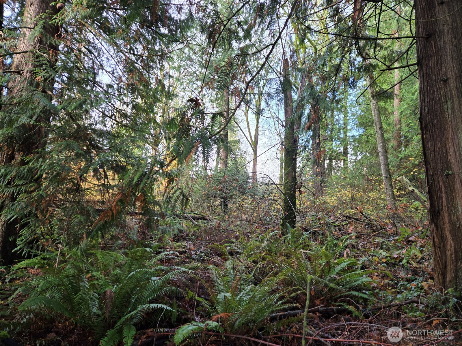 388 XX 191st Avenue SE, Auburn, WA 98092