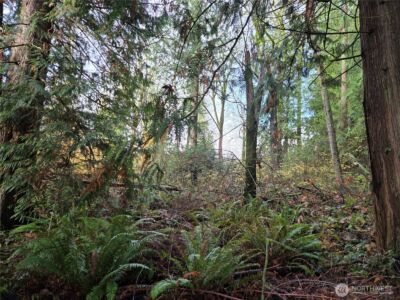 388 XX 191st Avenue SE, Auburn, WA 98092 - Photo 22