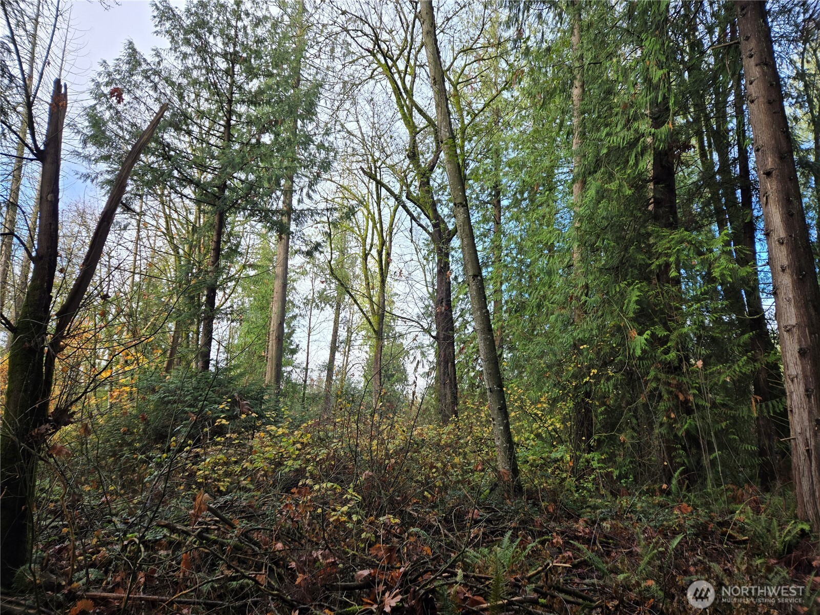 388 XX 191st Avenue SE, Auburn, WA 98092