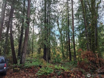 388 XX 191st Avenue SE, Auburn, WA 98092 - Photo 24