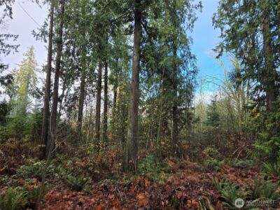 388 XX 191st Avenue SE, Auburn, WA 98092 - Photo 25