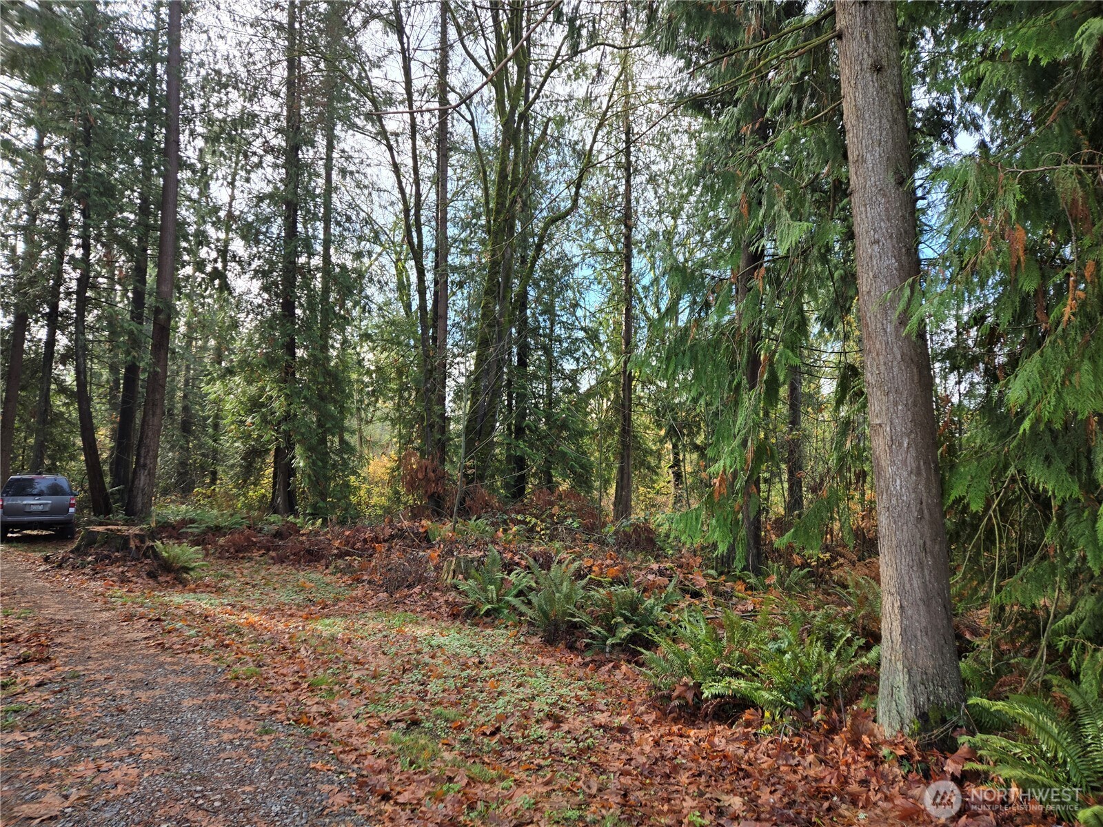 388 XX 191st Avenue SE, Auburn, WA 98092