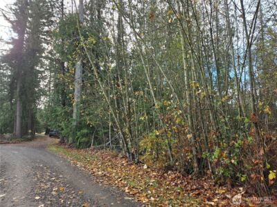 388 XX 191st Avenue SE, Auburn, WA 98092 - Photo 4