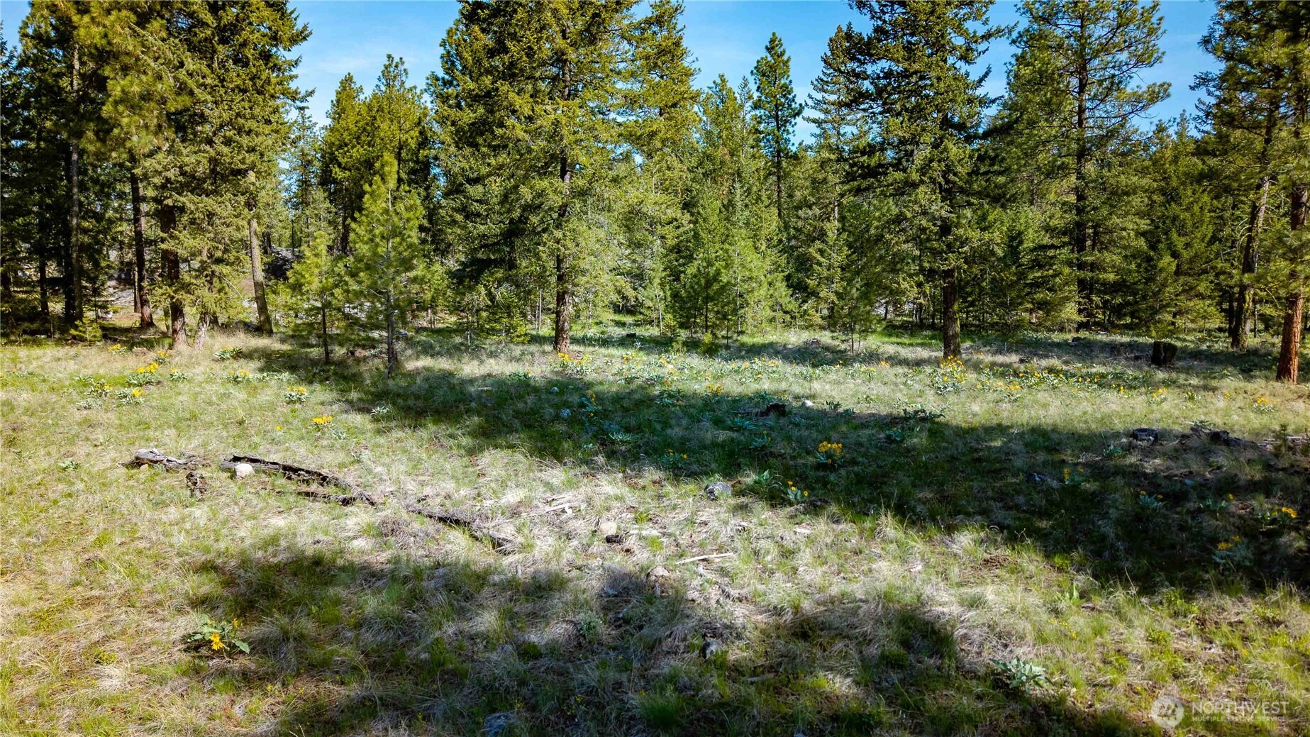 0 TBD Mineral Hill Road , Conconully, WA 98819