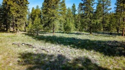 0 TBD Mineral Hill Road , Conconully, WA 98819 - Photo 13