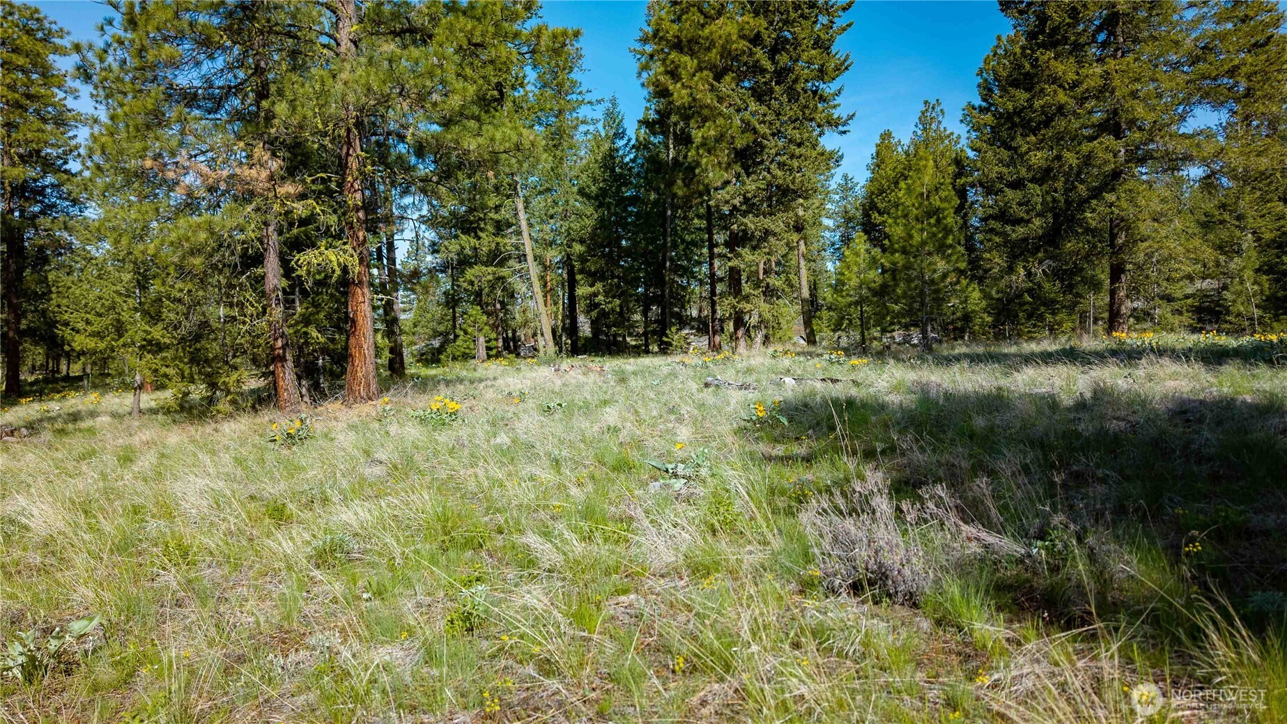 0 TBD Mineral Hill Road , Conconully, WA 98819