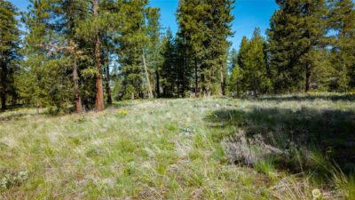 0 TBD Mineral Hill Road , Conconully, WA 98819 - Photo 14