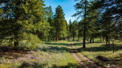 0 TBD Mineral Hill Road , Conconully, WA 98819 - Photo 15