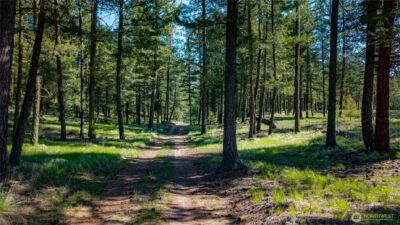 0 TBD Mineral Hill Road , Conconully, WA 98819 - Photo 16