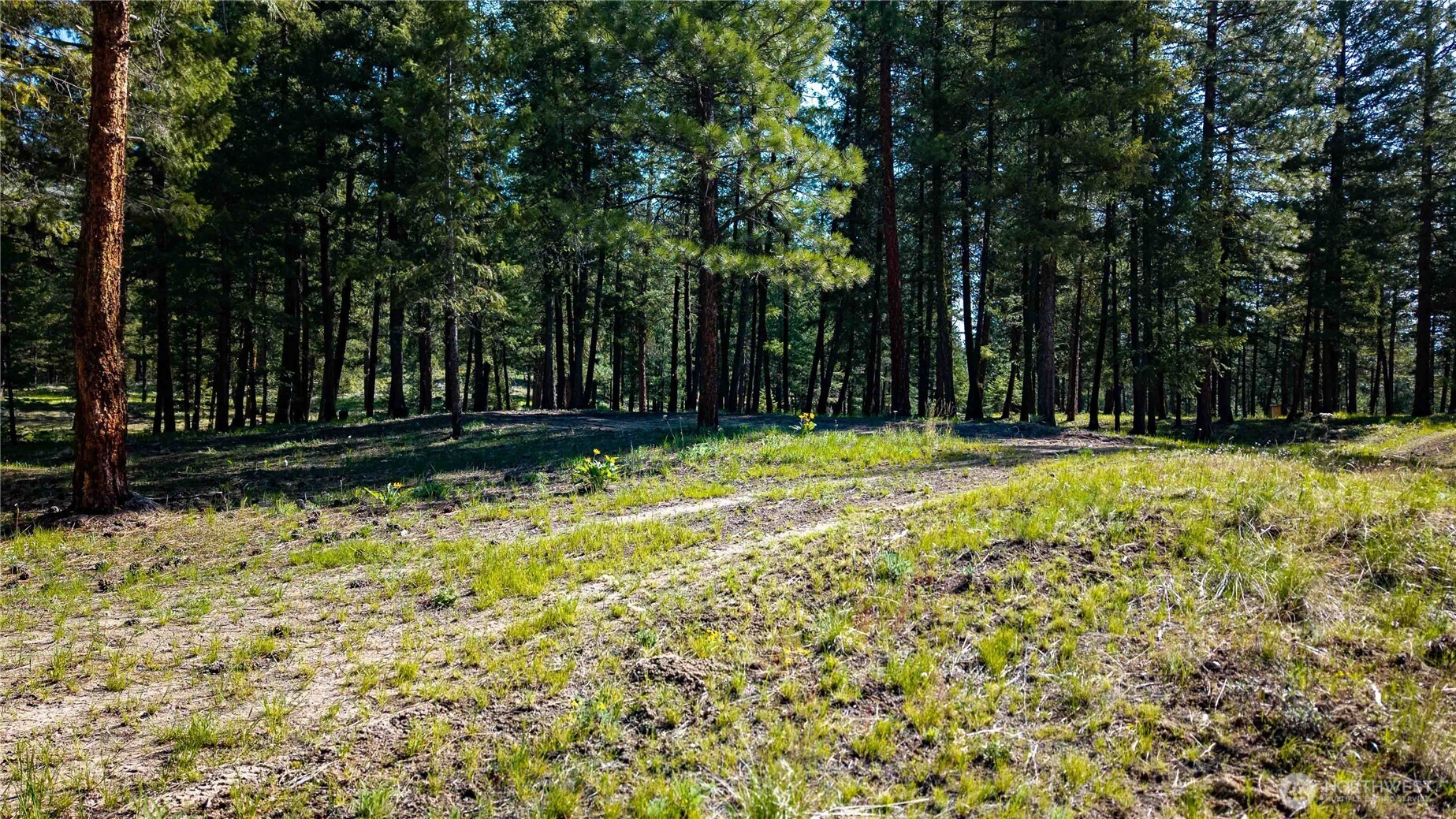 0 TBD Mineral Hill Road , Conconully, WA 98819