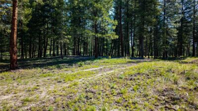 0 TBD Mineral Hill Road , Conconully, WA 98819 - Photo 17