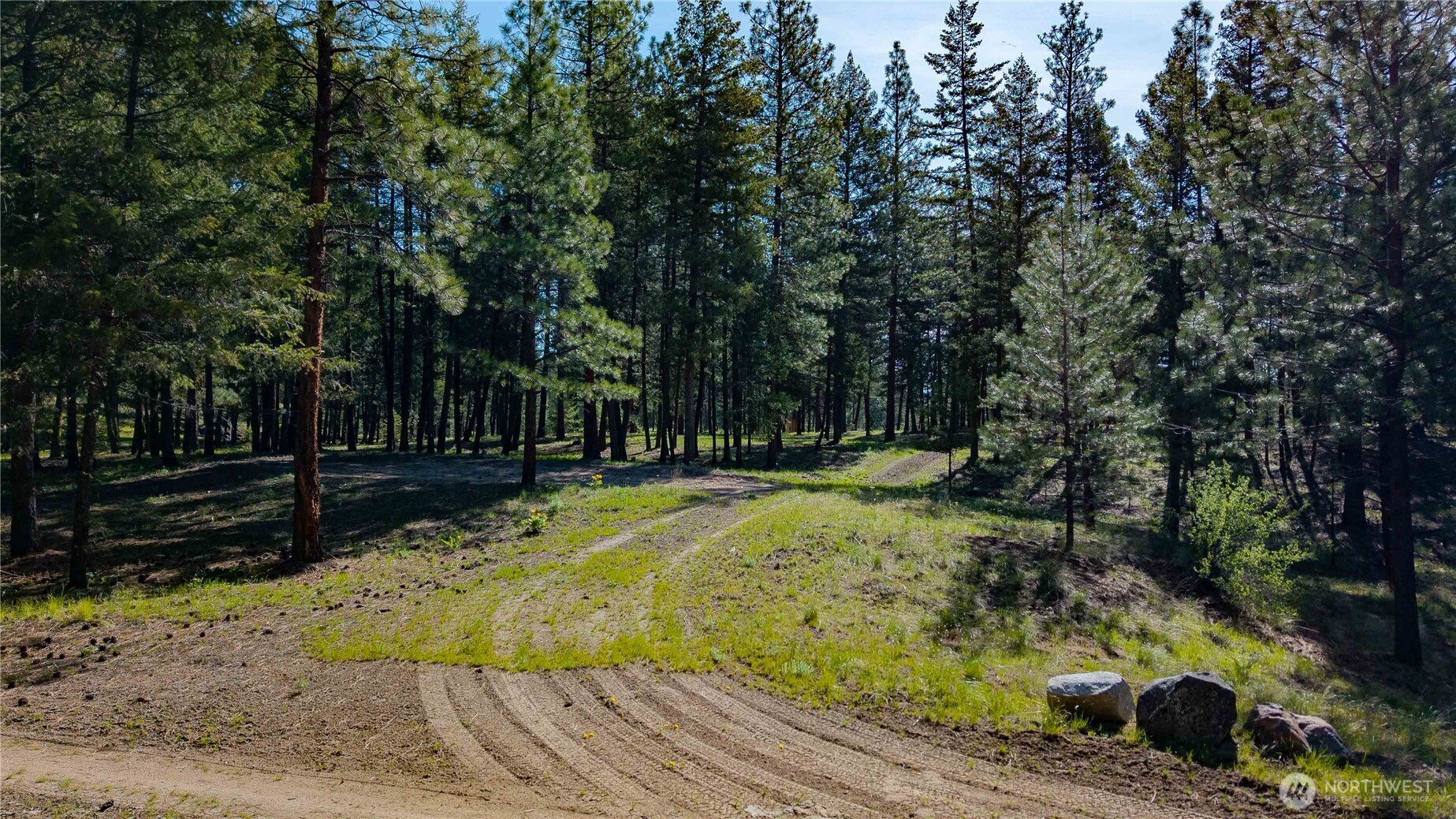0 TBD Mineral Hill Road , Conconully, WA 98819
