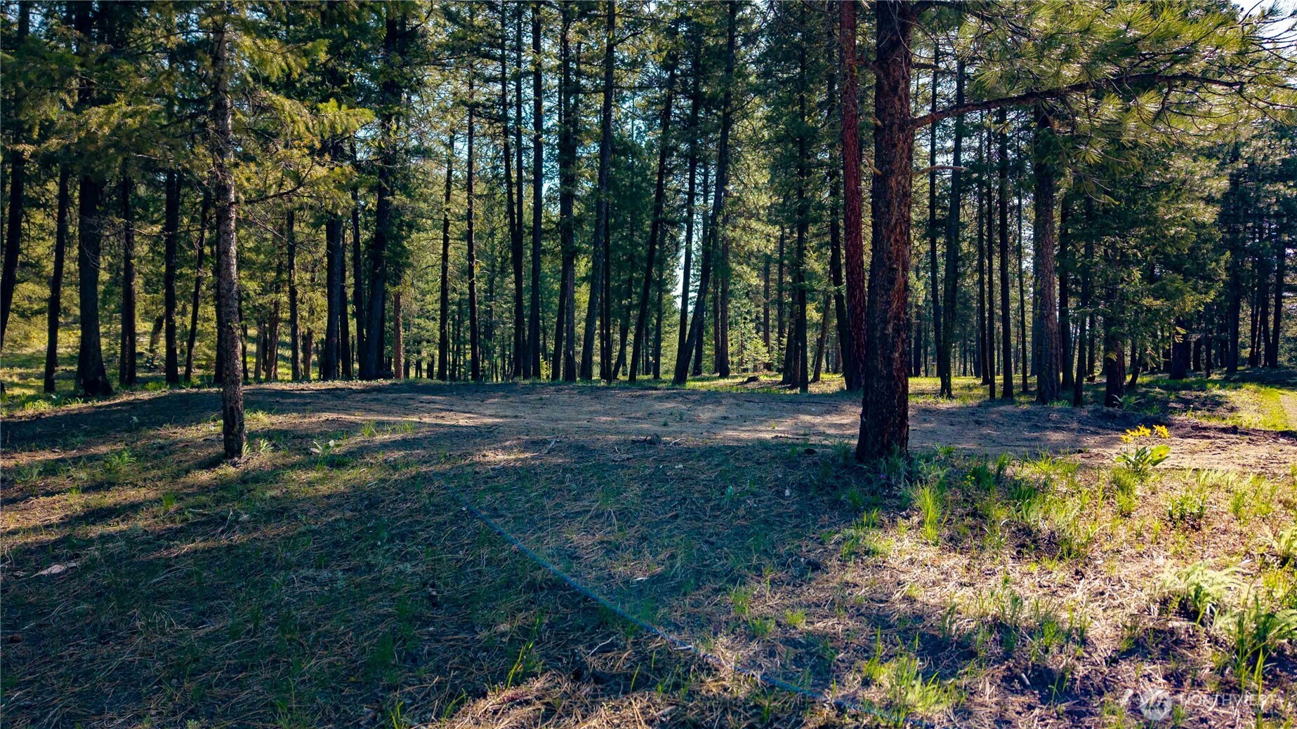 0 TBD Mineral Hill Road , Conconully, WA 98819