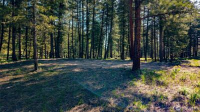0 TBD Mineral Hill Road , Conconully, WA 98819 - Photo 19
