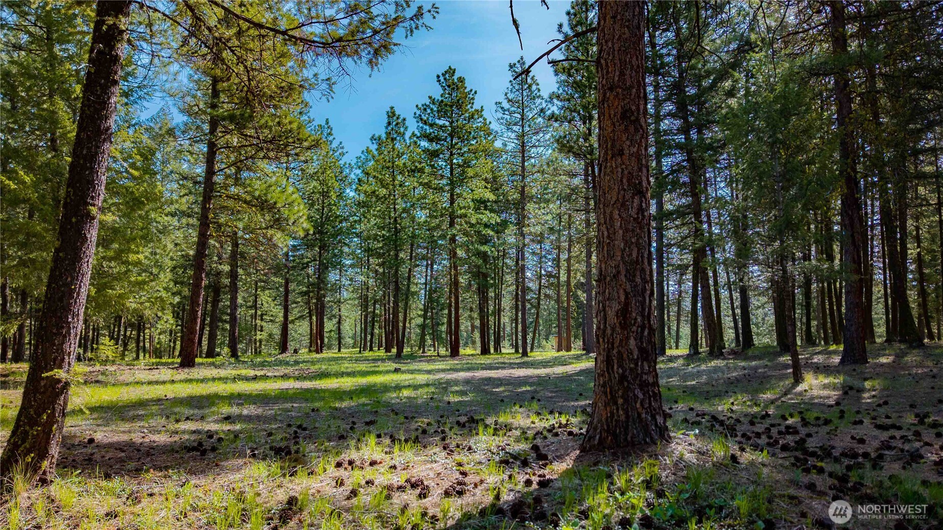 0 TBD Mineral Hill Road , Conconully, WA 98819