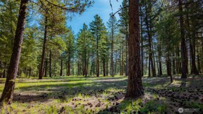 0 TBD Mineral Hill Road , Conconully, WA 98819 - Photo 20