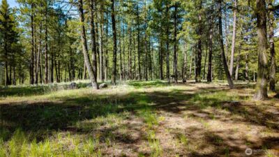 0 TBD Mineral Hill Road , Conconully, WA 98819 - Photo 21
