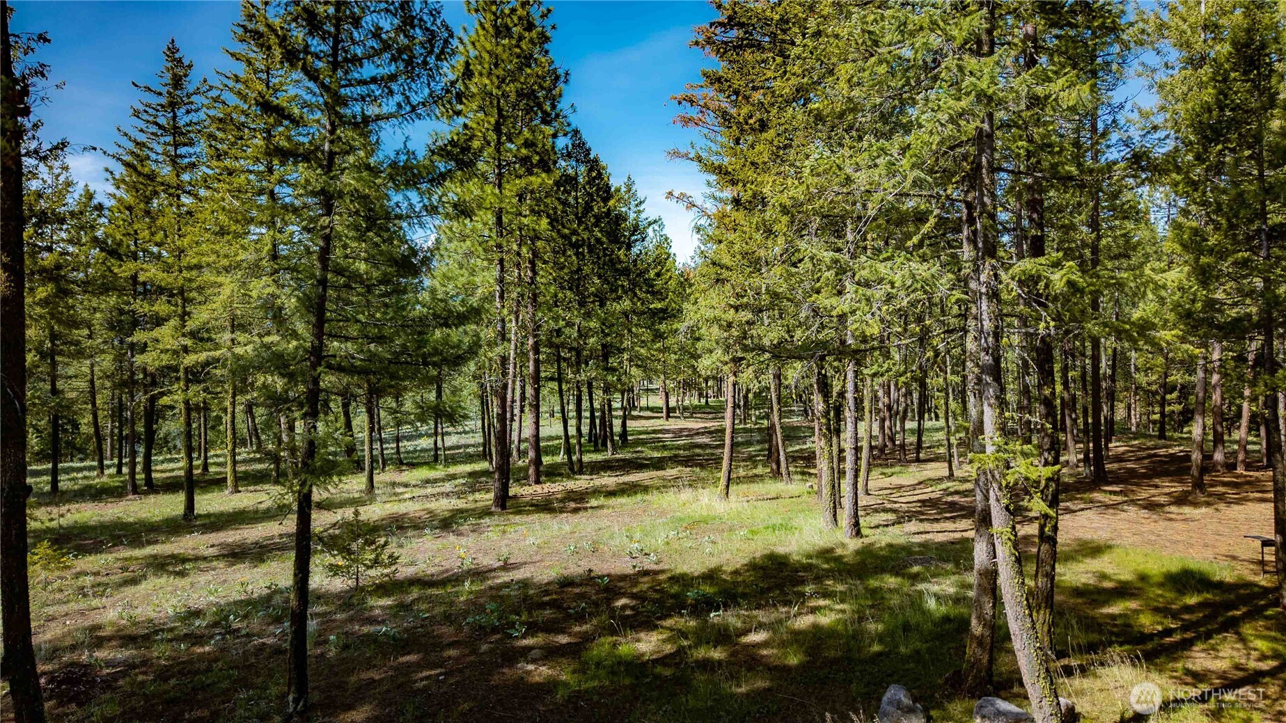 0 TBD Mineral Hill Road , Conconully, WA 98819